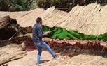 رفع ١٢٠٠ حالة اشغال وحملات نظافة بمناطق حدائق الأهرام