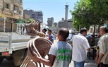 عمل حملة اشغالات بشارع السلام العمرانيه الشرقيه و تم إيداع المضبوطات بمخزن الحى 