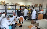 فحص وعلاج 1486 مواطنا خلال قافلة طبية مجانية بكفر الشيخ