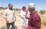 وكيل زراعة جنوب سيناء يلتقي مزارعي النخيل بالطور: دعم مباشر وتوجيهات للنهوض بالإنتاج