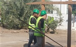 وزير العمل: بدء اختبارات العمال المُرشحين للعمل بشركة مقاولات بالإمارات على مهنتي نجار وحداد مسلح