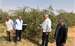 الزراعة تتفقد الأنشطة البحثية بمحطة بحوث الصحراء في توشكى 