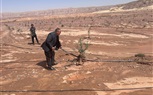 وزير الزراعة يوجه بتقديم الدعم الفني العاجل لمتضرري السيول بتجمع 