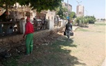 تحويل موقع مخلفات بالوليدية بحي شرق إلى مساحة خضراء نظيفة بمشاركة مجتمعية من الأهالي
