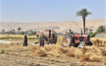 محافظ أسيوط يتفقد أعمال حصاد القمح 2026 .. زراعة ما يقرب من 205 ألف فدان وتوريد 67 ألف طن بزيادة 10% عن العام الماضي