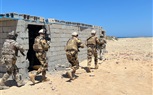 قوات الصاعقة تشارك فى فعاليات التدريب متعدد الجنسيات 