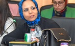 خلال لقائه بالصحفيين.. محافظ الإسكندرية عن حجب رؤية البحر: رضا المواطن أهم من أموال المستثمر