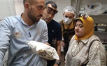 غلق 107 منشأة وتحرير 908 محضرًا متنوعًا والتحفظ على 12265 حالة إشغال متنوع بالإسكندرية