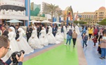 تحت إشراف 