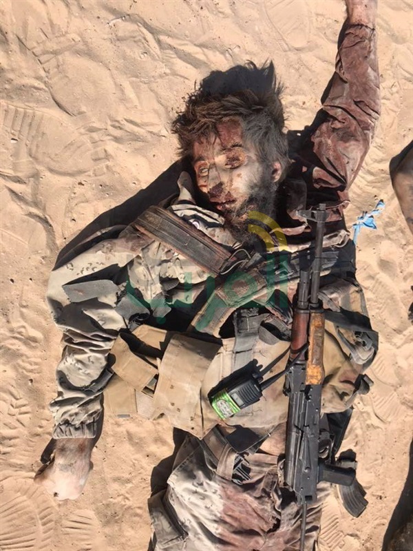 شاهد.. صور جثث العناصر الإرهابية المهاجمة لنقاط تأمين منطقة القواديس