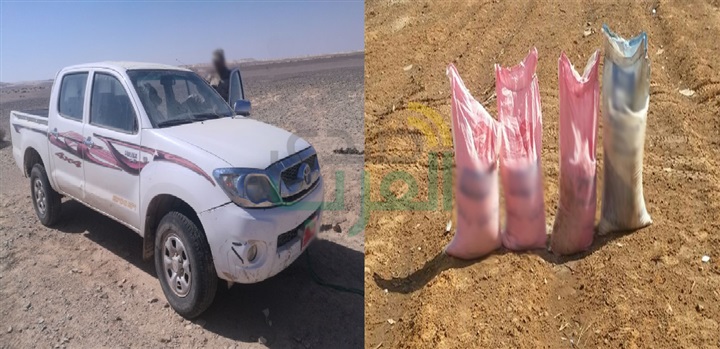 بالصور.. القوات المسلحة تضبط 3 تكفيريين ومواد متفجرة فى سيناء