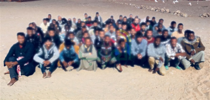 "حرس الحدود" تضبط 12 طن حشيش وبانجو و118 هاربًا من تنفيذ أحكام