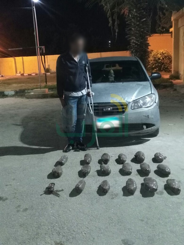"حرس الحدود" تضبط 12 طن حشيش وبانجو و118 هاربًا من تنفيذ أحكام