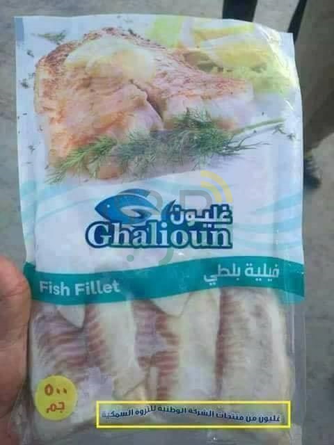 بالصور.. كفر الشيخ تتزين لاستقبال "السيسي" خلال أيام 