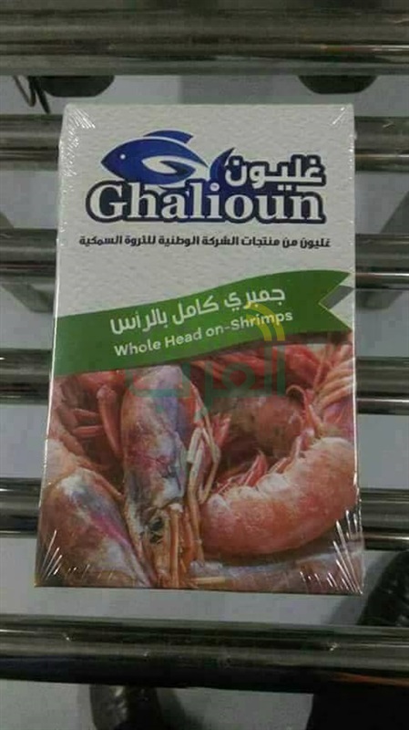 بالصور.. كفر الشيخ تتزين لاستقبال "السيسي" خلال أيام 