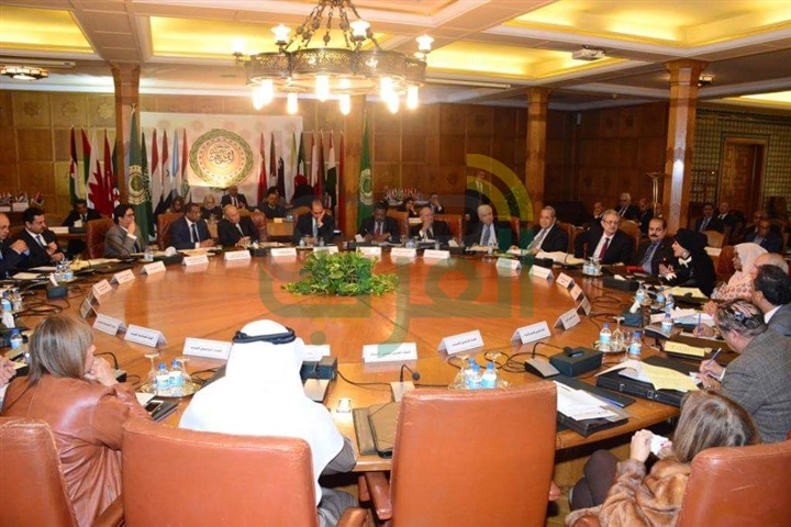 أبو الغيط يدعو إلى تطوير دور الإتحادات العربية 