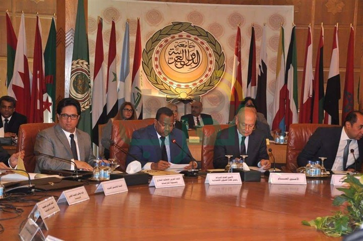 أبو الغيط يدعو إلى تطوير دور الإتحادات العربية 