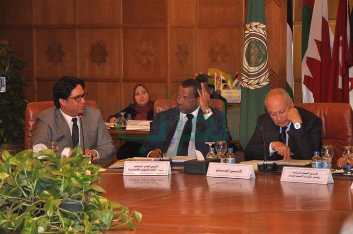 أبو الغيط يدعو إلى تطوير دور الإتحادات العربية 