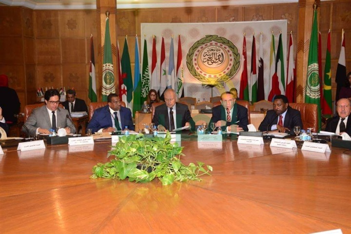 أبو الغيط يدعو إلى تطوير دور الإتحادات العربية 