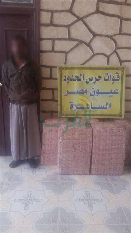حرس الحدود يضبط 20 قضية خلال 7 أيام ويحبط محاولة 226 متسللا غير شرعى