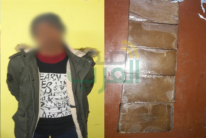 حرس الحدود يضبط 20 قضية خلال 7 أيام ويحبط محاولة 226 متسللا غير شرعى