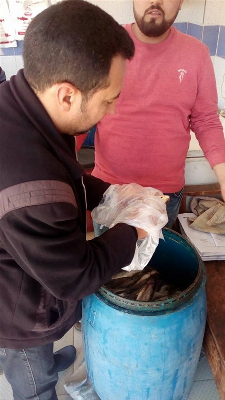 بالصور.. ضبط 200 كيلو فسيخ فاسد في كفر الشيخ