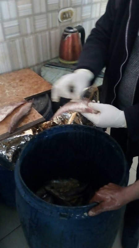بالصور.. ضبط 200 كيلو فسيخ فاسد في كفر الشيخ
