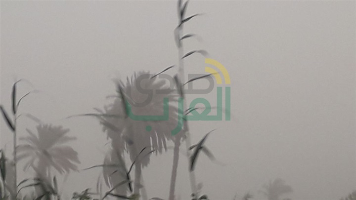 بالفيديو والصور.. توقف عملية التصويت فى محافظات المنيا وأسيوط والوادى الجديد بسبب العواصف الترابية