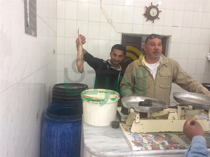 بالصور...سوق "الفسيخ" بكفر الشيخ قِبلة المشاهير والمواطنين في "شم النسيم"