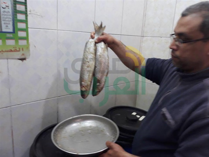 بالصور...سوق "الفسيخ" بكفر الشيخ قِبلة المشاهير والمواطنين في "شم النسيم"