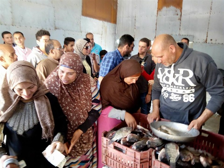 بالصور.. محافظ كفر الشيخ يُتابع وصول أسماك "غليون" للمنافذ 