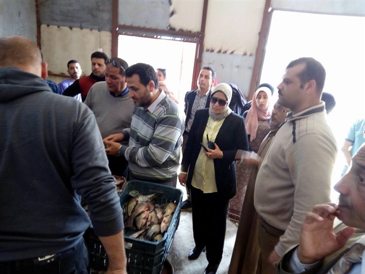 بالصور.. محافظ كفر الشيخ يُتابع وصول أسماك "غليون" للمنافذ 