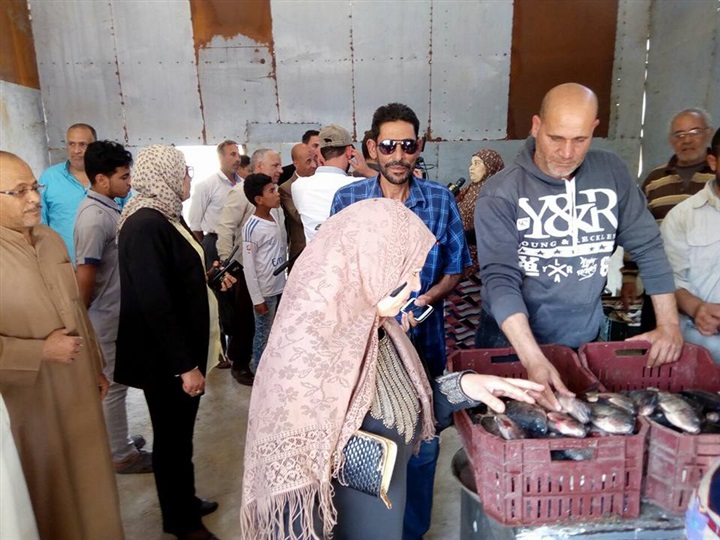 بالصور.. محافظ كفر الشيخ يُتابع وصول أسماك "غليون" للمنافذ 