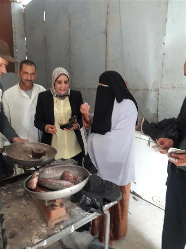 بالصور.. محافظ كفر الشيخ يُتابع وصول أسماك "غليون" للمنافذ 
