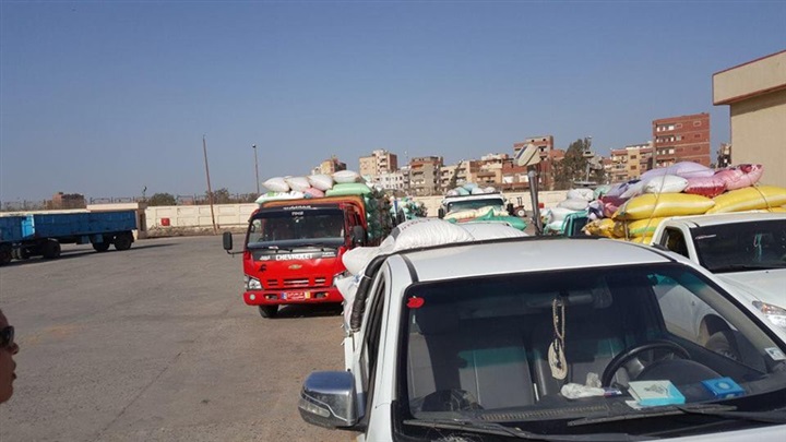 بالصور.. توريد 477 طن قمح محلي بشون وصوامع كفر الشيخ