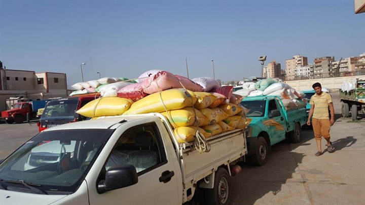 بالصور.. توريد 477 طن قمح محلي بشون وصوامع كفر الشيخ