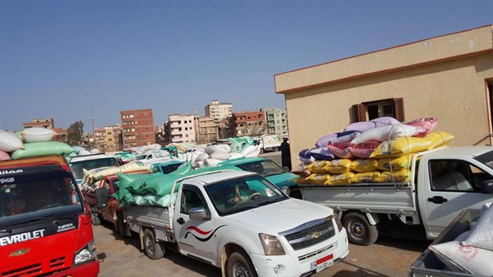 بالصور.. توريد 477 طن قمح محلي بشون وصوامع كفر الشيخ