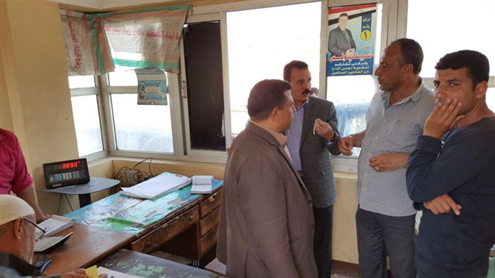 بالصور.. توريد 477 طن قمح محلي بشون وصوامع كفر الشيخ