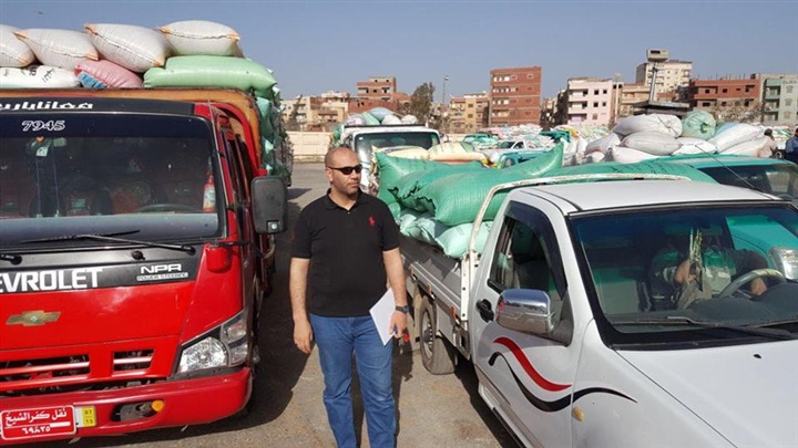 بالصور.. توريد 477 طن قمح محلي بشون وصوامع كفر الشيخ