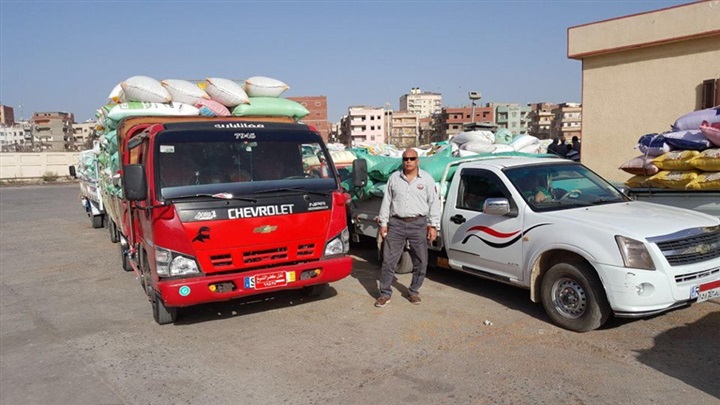 بالصور.. توريد 477 طن قمح محلي بشون وصوامع كفر الشيخ