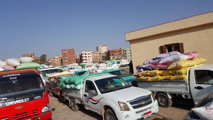 بالصور.. توريد 477 طن قمح محلي بشون وصوامع كفر الشيخ