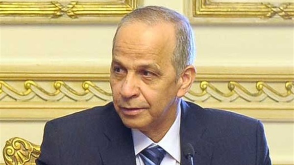 محافظ الوادي الجديد