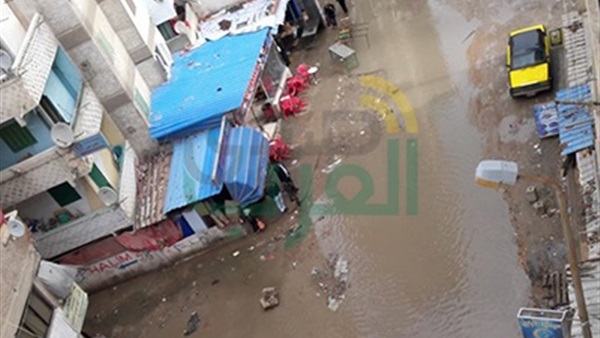 صدى العرب