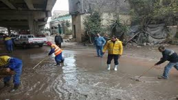 صدى العرب