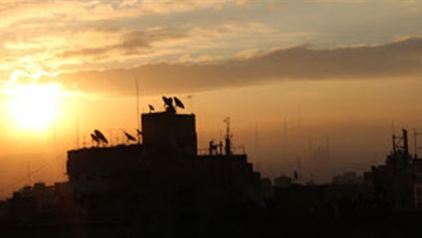 صدى العرب