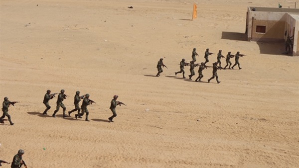 صدى العرب