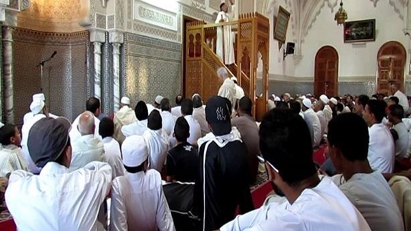 صدى العرب