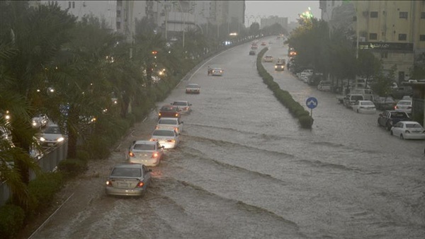 صدى العرب
