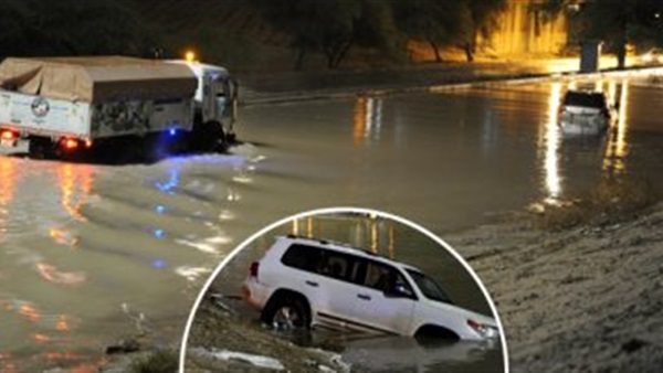 صدى العرب