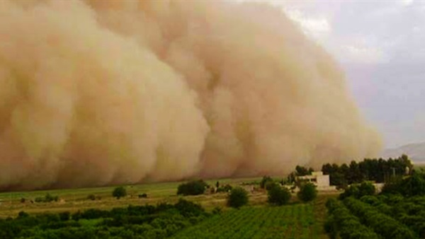 صدى العرب